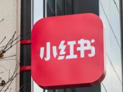 小红书粉丝的多少决定互动量的大小吗？