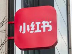 小红书上有哪些值得参考的爆文笔记？