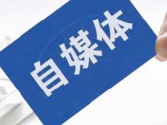 视频号怎么快速涨粉？做什么内容容易火