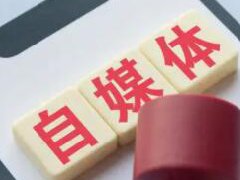 搜狐自媒体视频赚钱吗？收入如何