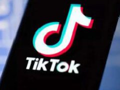 TikTok商家遇知识产权处罚如何申诉