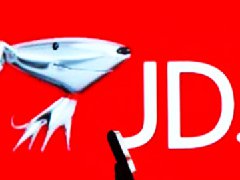 京东商品短标题发布规范