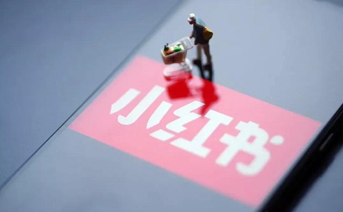 做小红书到底要不要养号