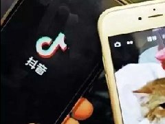 抖音搬运作品违法吗？会被限流吗