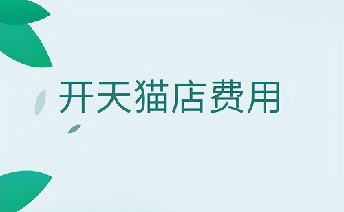 开一个天猫旗舰店要多少钱