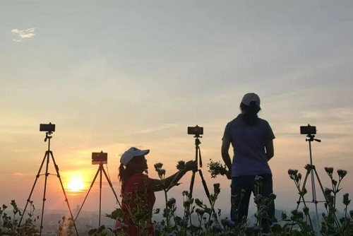 抖音卖货一单能提多少钱