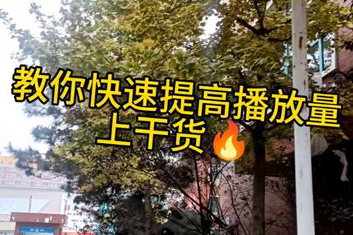 如何养抖音号提高播放量