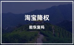 个人淘宝号降权怎么恢复正常？降权在哪里看