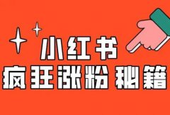 小红书粉丝如何涨？小红书粉丝可以买吗