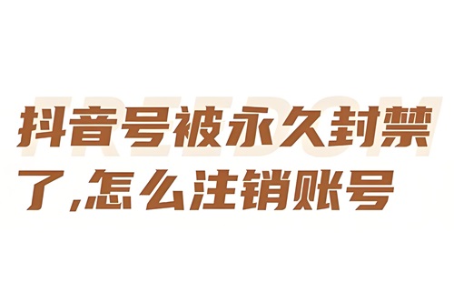 抖音实名号被永久封号了怎么注销