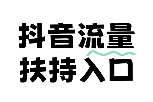 抖音流量扶持